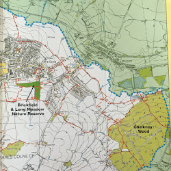 UK August 2015 10 - Chalkney Wood