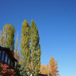 October 2013