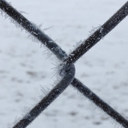 January 2015