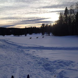 January 2014